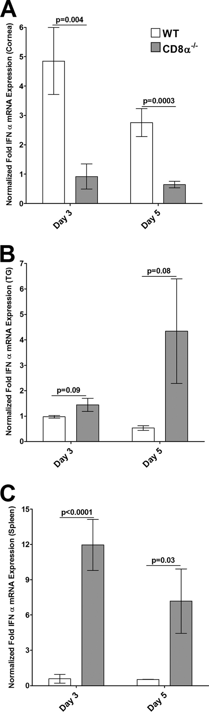 FIG 6