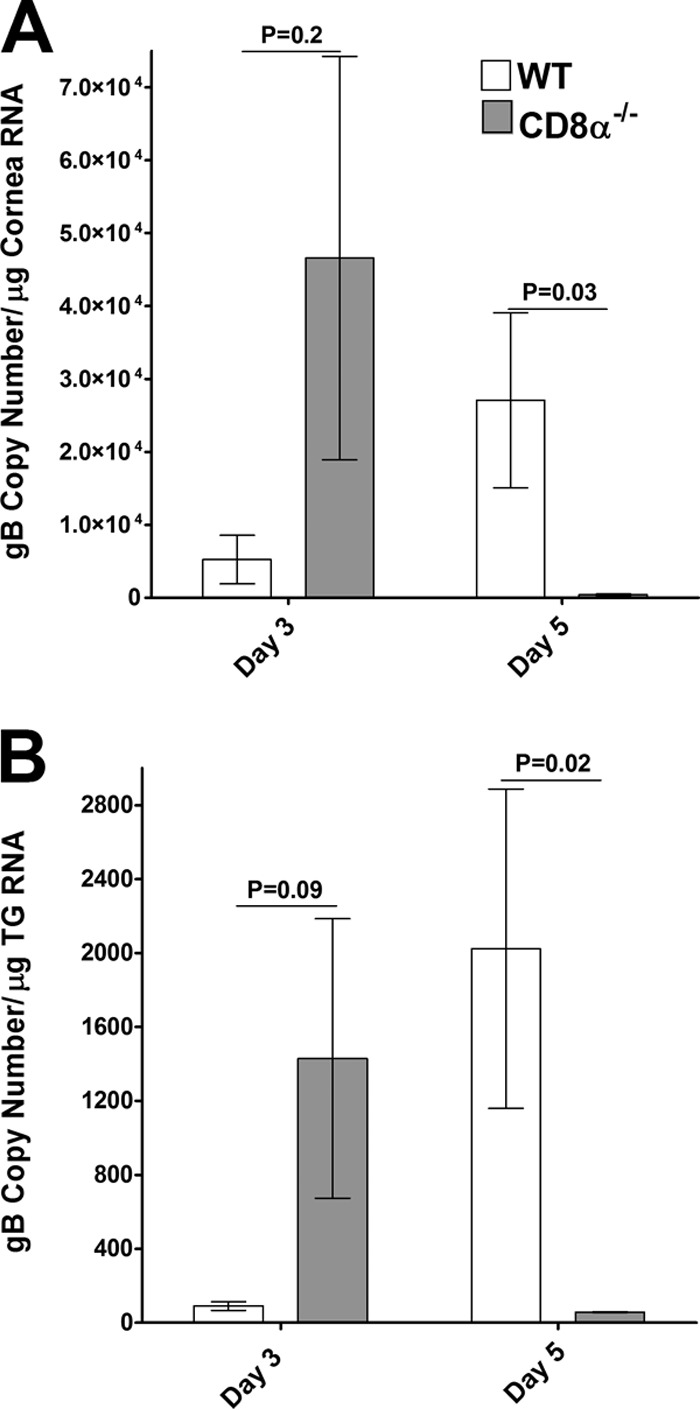 FIG 5