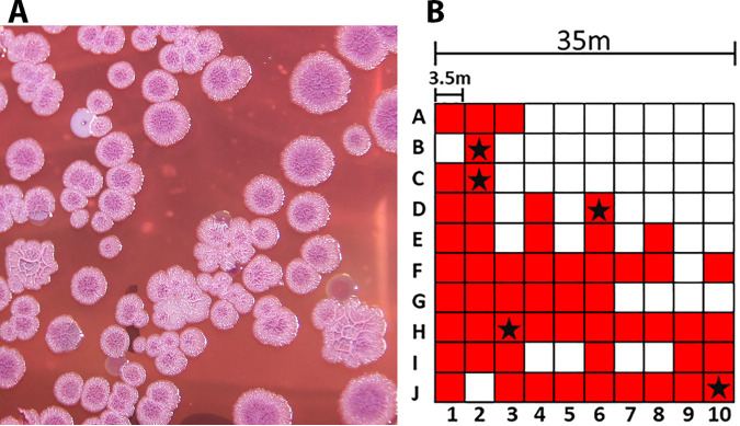 FIG 2