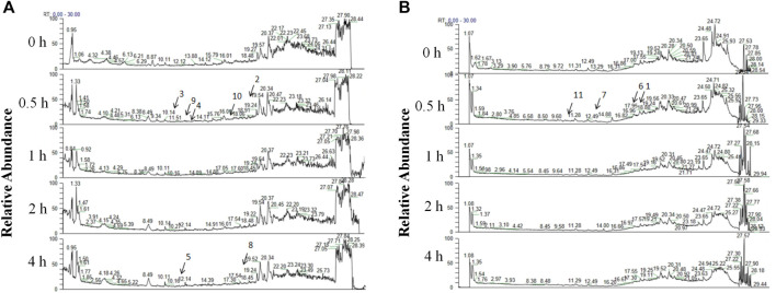 FIGURE 9