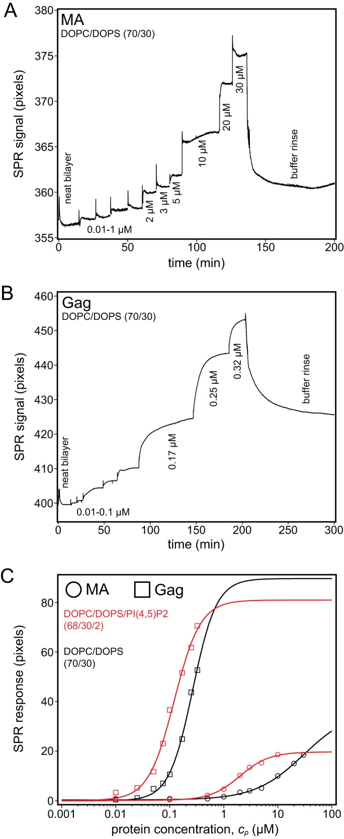 FIG 3