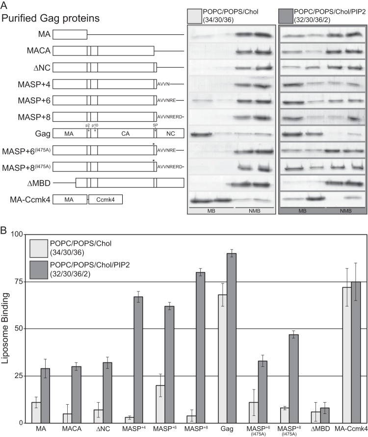 FIG 1