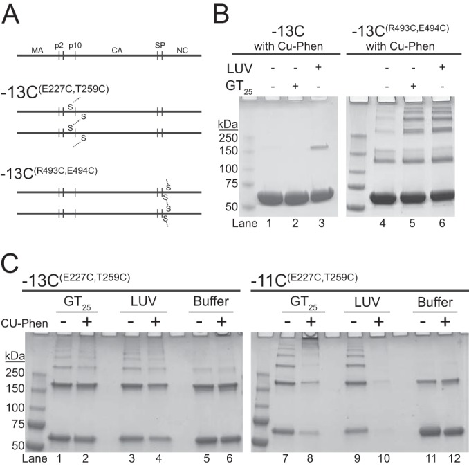 FIG 6