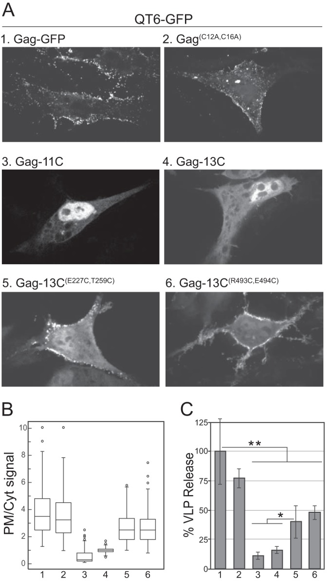 FIG 5