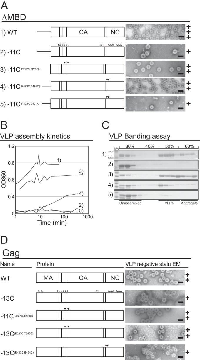 FIG 4