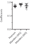 Figure 14—figure supplement 2.