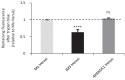 Figure 12—figure supplement 3.