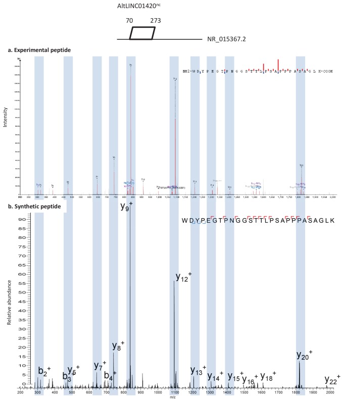 Figure 5—figure supplement 3.