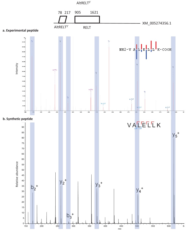 Figure 5—figure supplement 2.