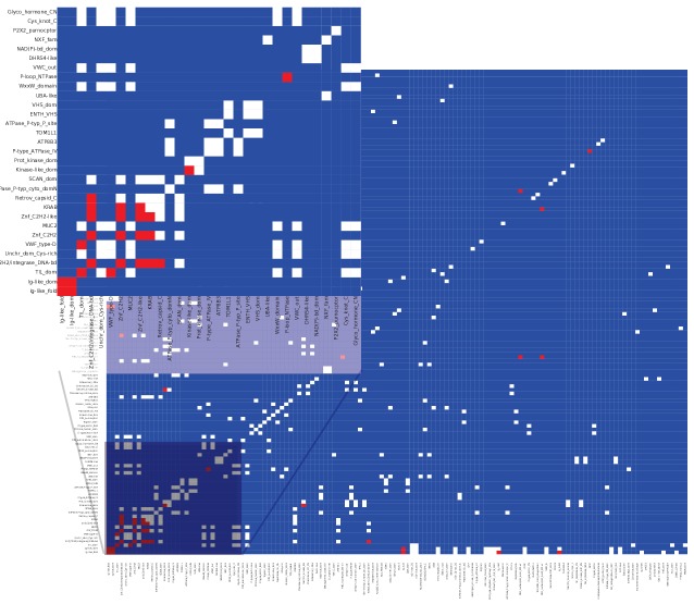 Figure 11—figure supplement 1.