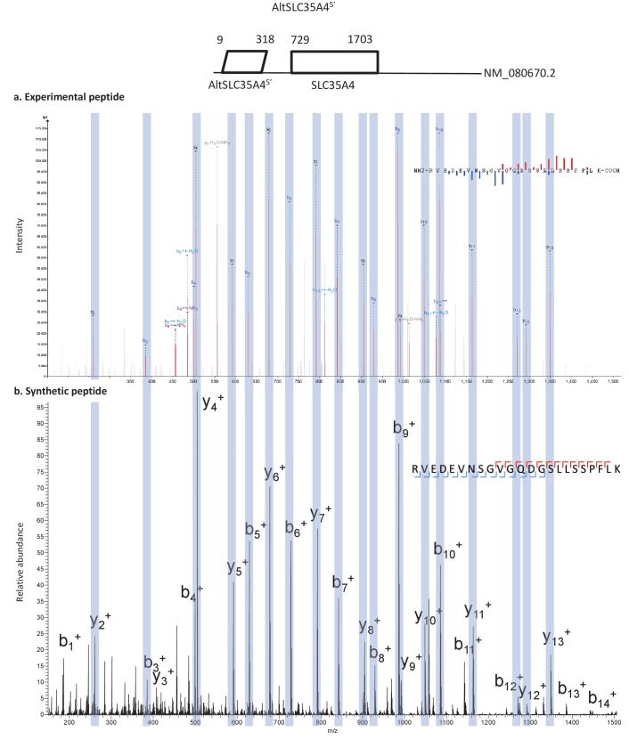 Figure 5—figure supplement 1.