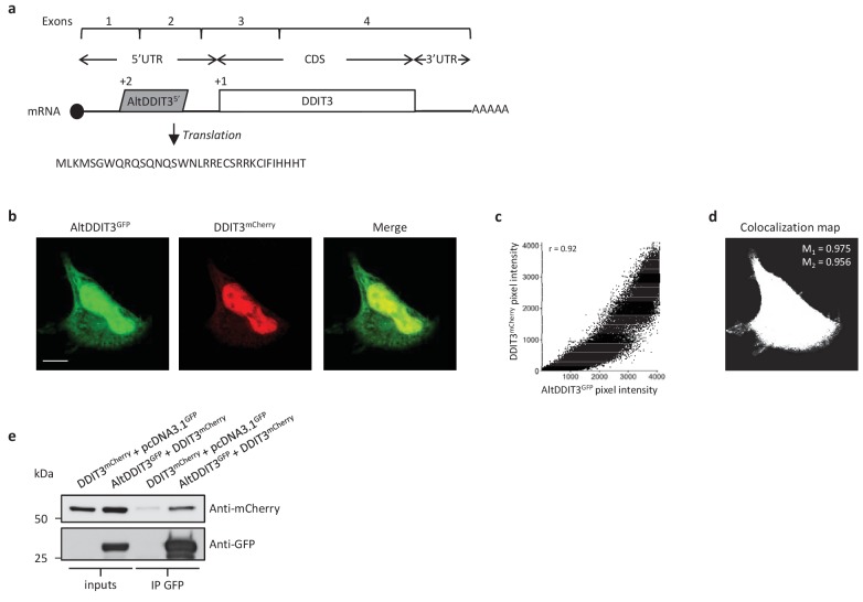 Figure 14.