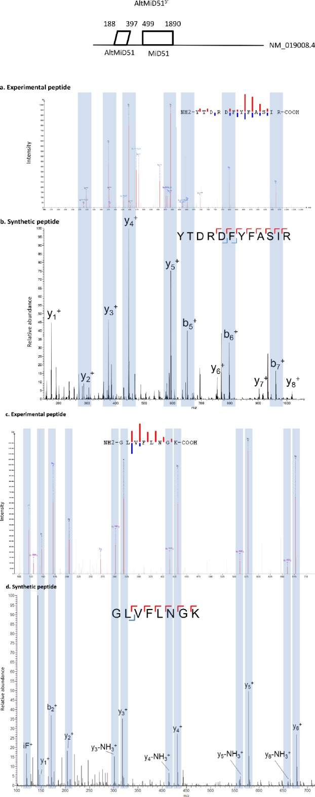 Figure 12—figure supplement 1.