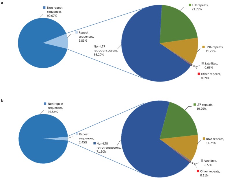 Figure 1—figure supplement 1.