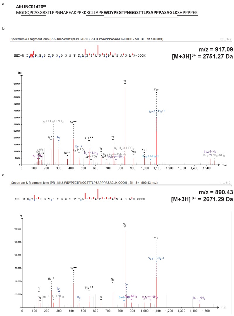 Figure 6—figure supplement 1.