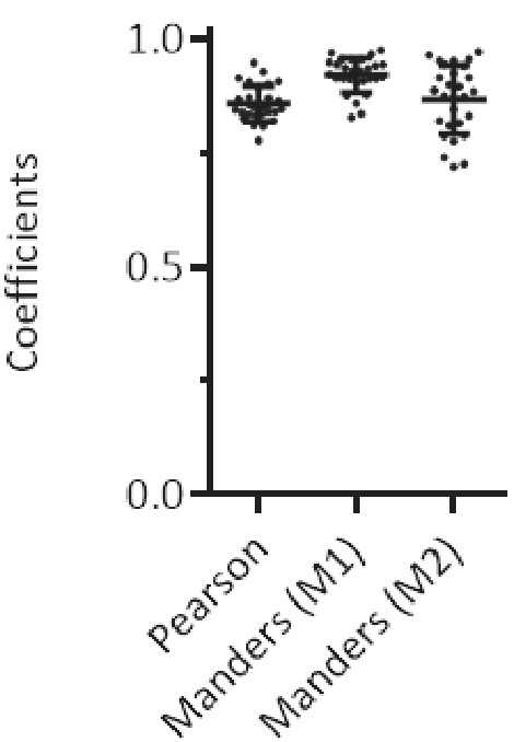 Figure 14—figure supplement 2.