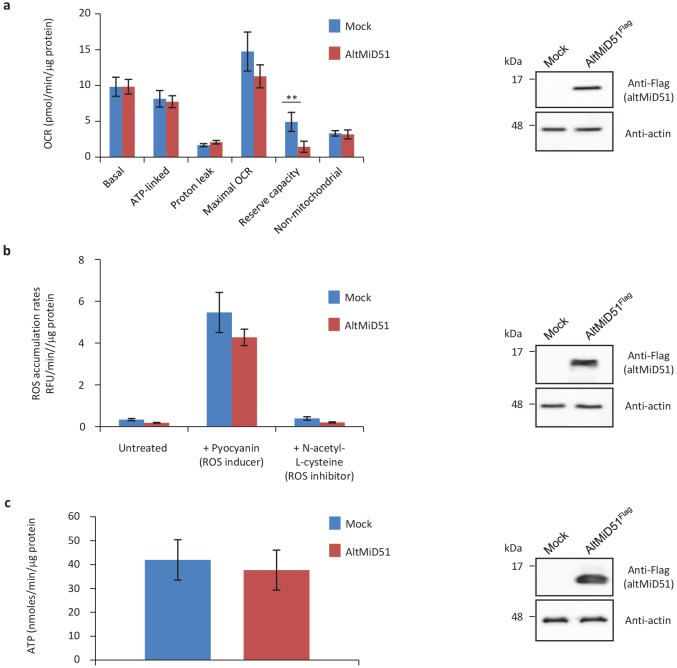 Figure 12—figure supplement 4.