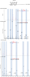 Figure 12—figure supplement 1.