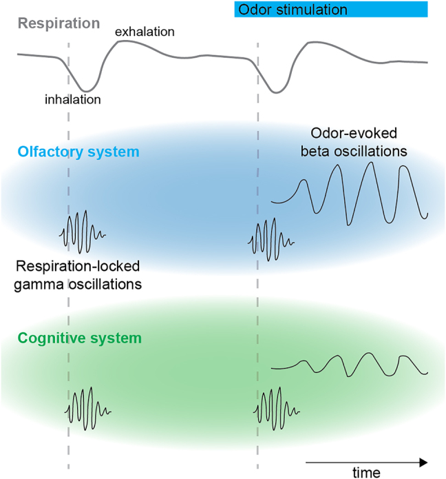 Figure 2: