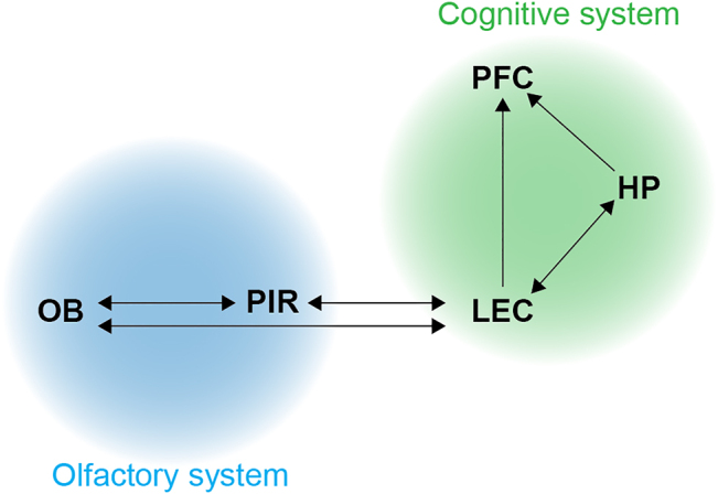 Figure 1: