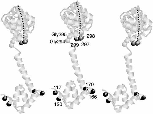 FIG. 8.