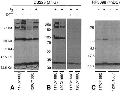 FIG. 5.