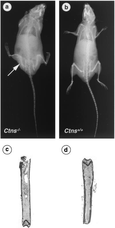 FIG. 5.