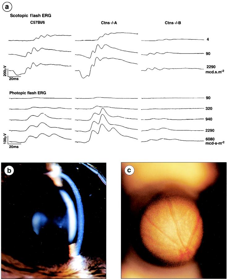 FIG. 6.