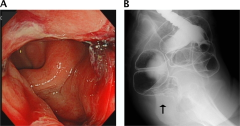 Fig. 1.