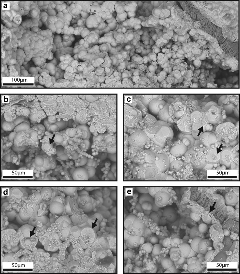 FIG. 7.