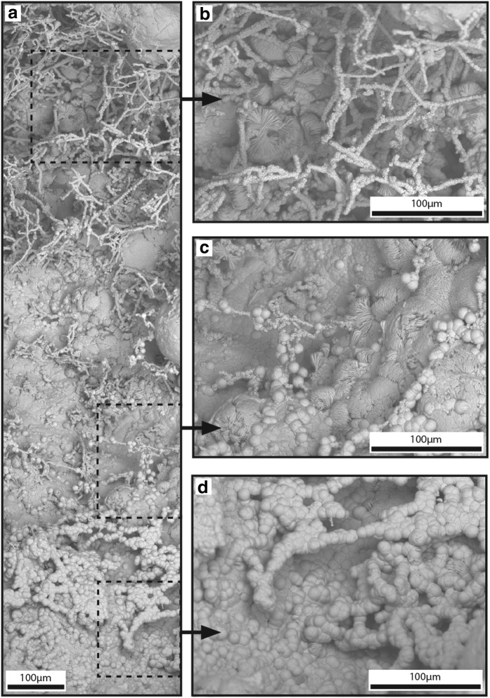 FIG. 5.