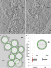 Figure 3