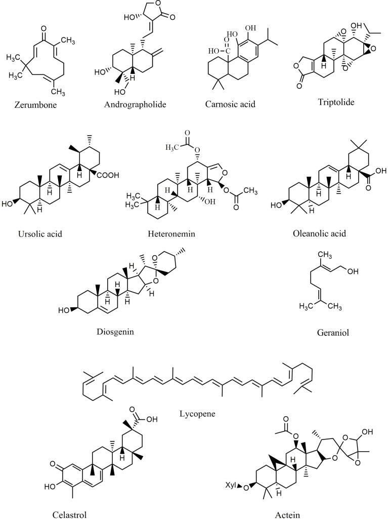 Figure 5