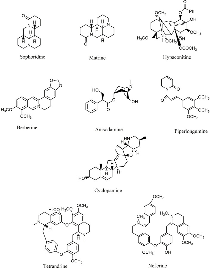 Figure 6