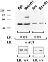 FIG. 9