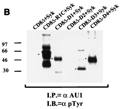 FIG. 8