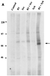 FIG. 8