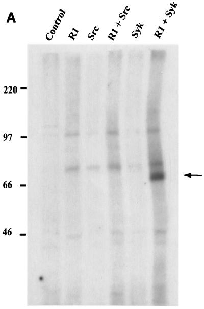 FIG. 8