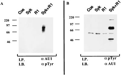 FIG. 7