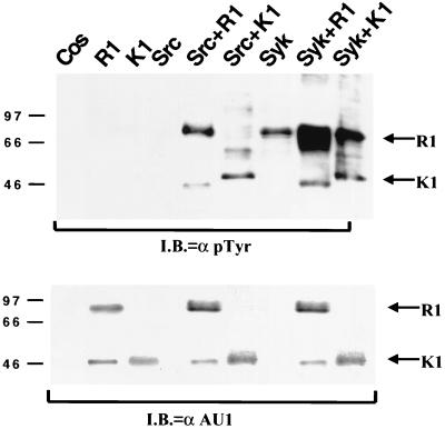 FIG. 10