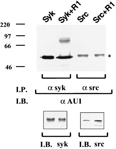 FIG. 9