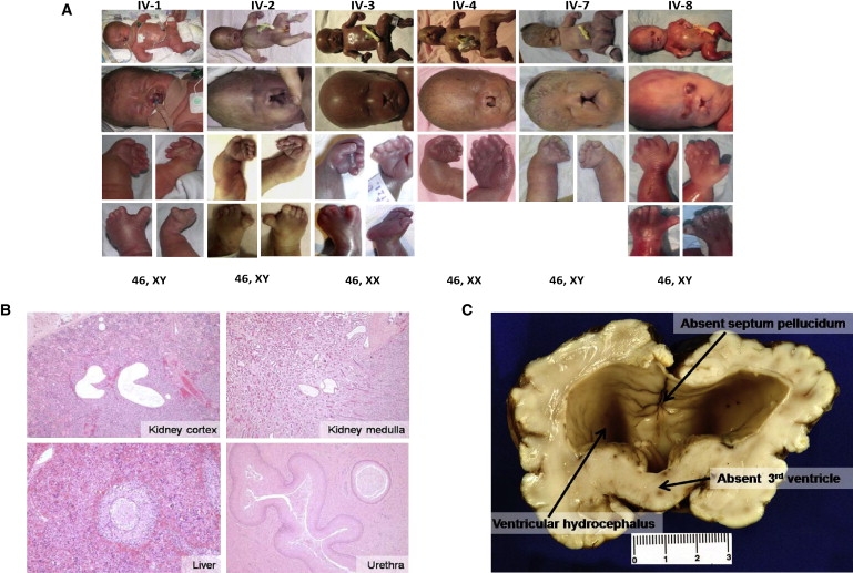 Figure 1