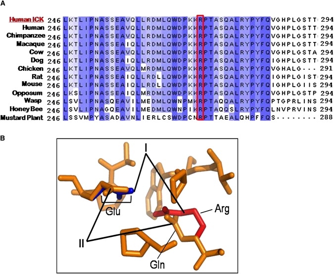 Figure 4