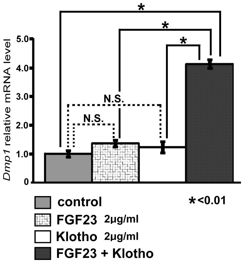 Fig. 9