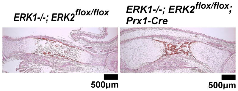 Fig. 14