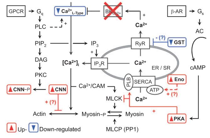 Fig. 10