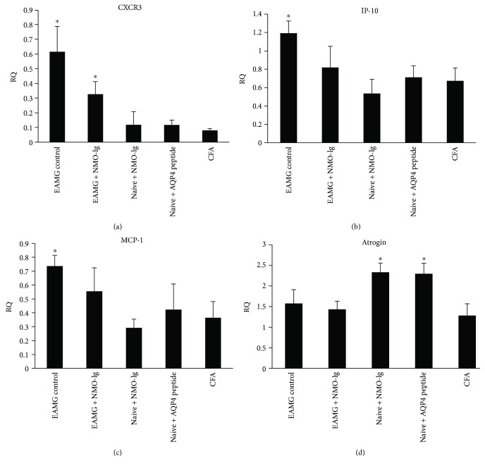 Figure 5