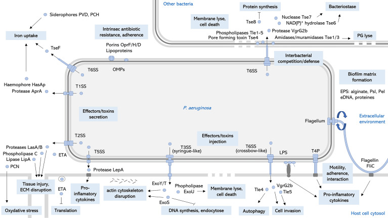 Figure 2