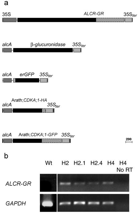 Figure 2.