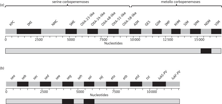 Figure 2.